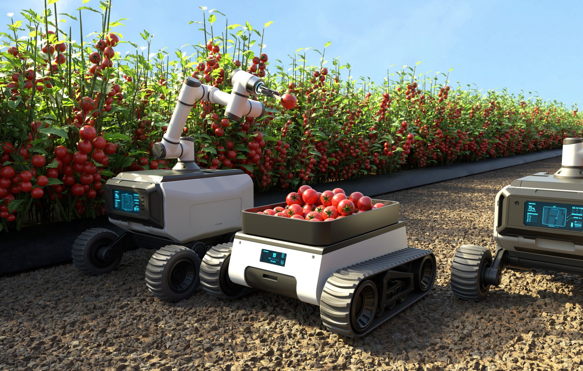 Real-time Object Detection 即時物件偵測