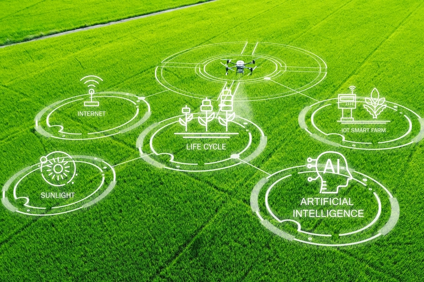 ESG Sustainable Development Initiative